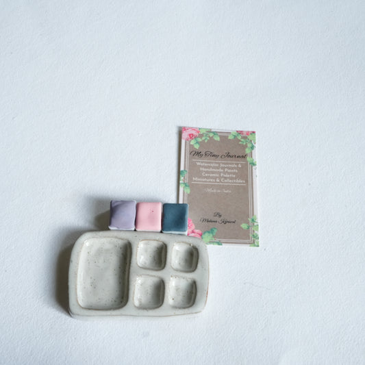 Small ceramic paint palette in India