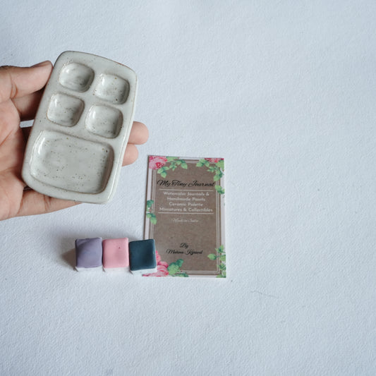 Small ceramic paint palette in India